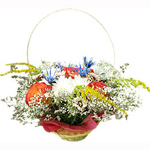A playful flower basket named after its sweet appearance. For the young at heart and mind, this fresh basket will bring a bounce to the step of its recipient.