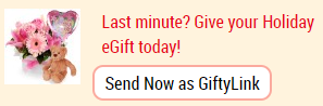 GiftyLink — instant gift and flower delivery