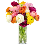 Rainbow Ranunculus Bouquet