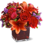 Stylish Winter Bouquet