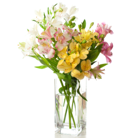 Floral Sophistication With Assorted Alstroemeria