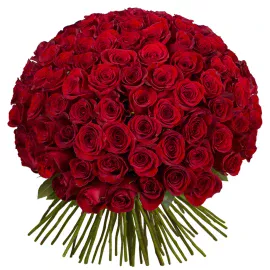 101 Roses