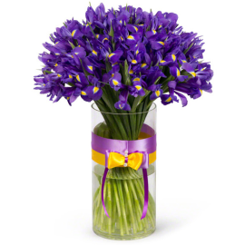 Grand Iris Arrangement