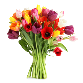 Mixed Tulips Selection