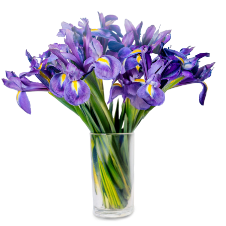Bunch of Irises