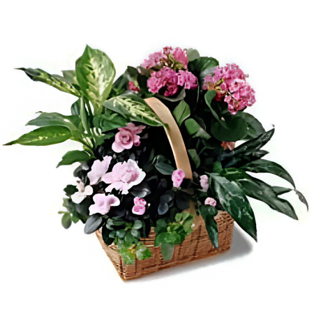 Pink Assortment Basket